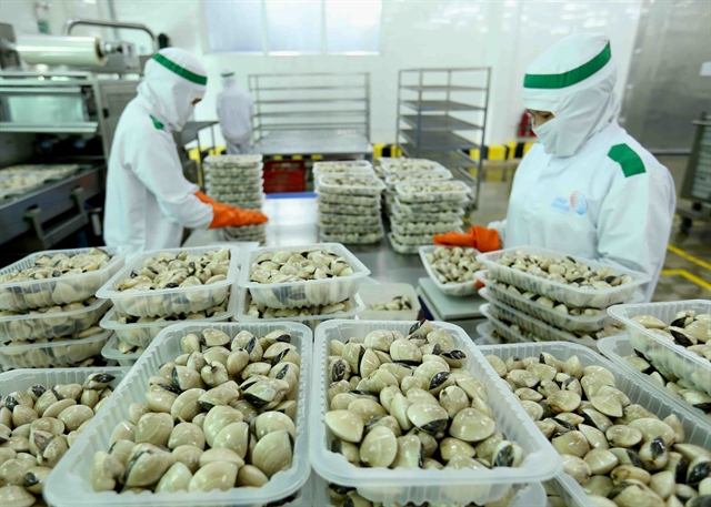 Clam processing at Lenger Seafoods Vietnam Co. Việt Nam and the UK saw impressive growth in their two-way trade though exports faced formidable challenges caused by the COVID-19 pandemic. VNA/VNS Photo Clam processing at Lenger Seafoods Vietnam Co. Việt Nam and the UK saw impressive growth in their two-way trade though exports faced formidable challenges caused by the COVID-19 pandemic. VNA/VNS Photo