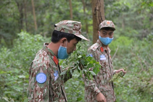 For strange plants, trainees have to smell them to identify whether they are poisonous or not. For strange plants, trainees have to smell them to identify whether they are poisonous or not.