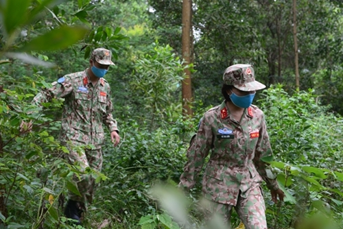 Searching for edible vegetables, tubers and fruits in the forest is one of the most important skills. Searching for edible vegetables, tubers and fruits in the forest is one of the most important skills.