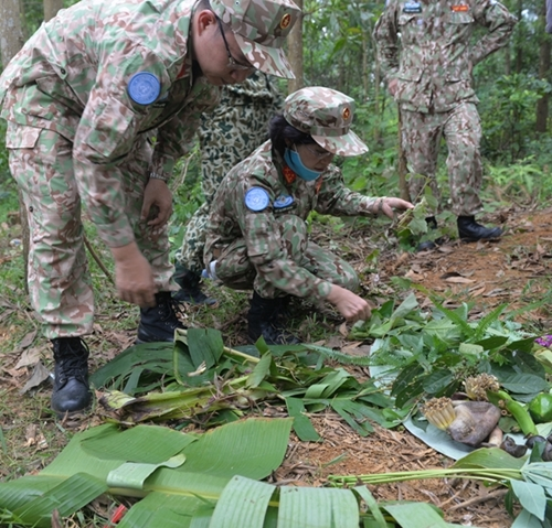 Edible vegetables, tubers and fruits found by trainees Edible vegetables, tubers and fruits found by trainees