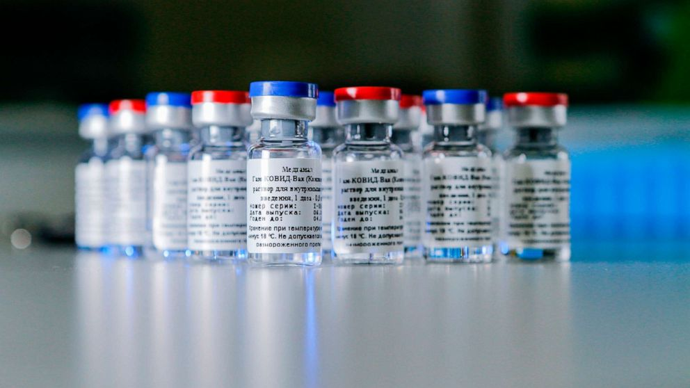 The vaccine against the coronavirus disease developed by the Gamaleya Research Institute of Epidemiology and Microbiology, Aug. 6, 2020, provided by the Russian Direct Investment Fund. The vaccine against the coronavirus disease developed by the Gamaleya Research Institute of Epidemiology and Microbiology, Aug. 6, 2020, provided by the Russian Direct Investment Fund. Russian Direct Investment Fund/AFP via Getty Images 2019 vacccine