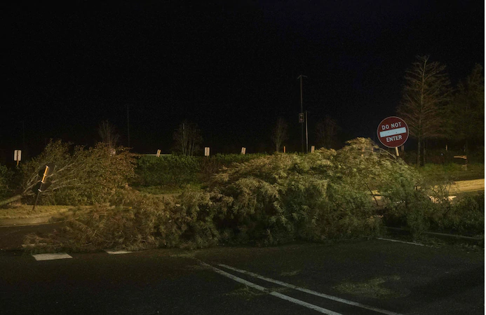 Trees are scattered across a road as the eyewall of hurricane Laura passed over Lake Charles, La., early Thursday. (Andrew Caballero-Reynolds/AFP/Getty Images) 1455 treees