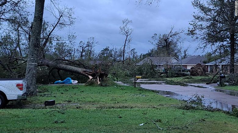 Photo: CNN 1641 tree
