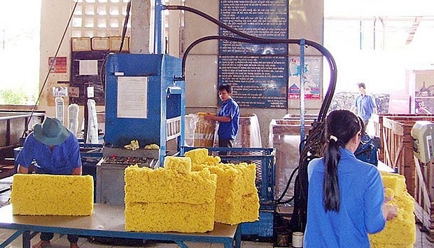 vneconomy.vn) vneconomy.vn)