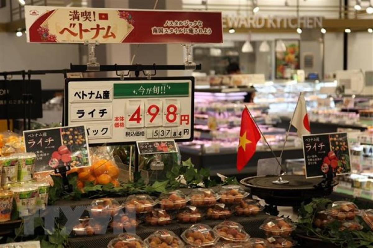 Vietnamese lychees are put up for sale at AEON supermarket. (Photo: VNA) 2036 aeon
