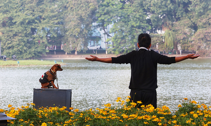 A man does morning exercises at the Hoan Kiem Lake in Hanoi as his dog watches, April 2019. Photo by VnExpress/Ngoc Thanh. 3006 dog walking