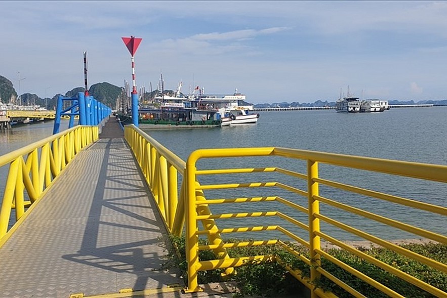 Vietnam Considers Mutual Recognition of Vaccine Passports with Certain Countries Vietnam Considers Mutual Recognition of Vaccine Passports with Certain Countries