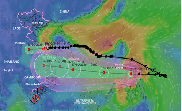 Photo: Vietnamnet 4758 molave
