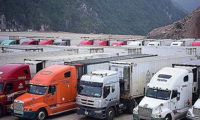 Container trucks carrying dragon fruits at a parking zone near the Tan Thanh Border Gate in the northern province of Lang Son, February 4, 2020. Photo by VnExpress/Giang Huy Container trucks carrying dragon fruits at a parking zone near the Tan Thanh Border Gate in the northern province of Lang Son, February 4, 2020. Photo by VnExpress/Giang Huy