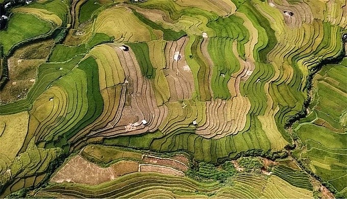 Vietnamese Photo Praised at International Contest Vietnamese Photo Praised at International Contest