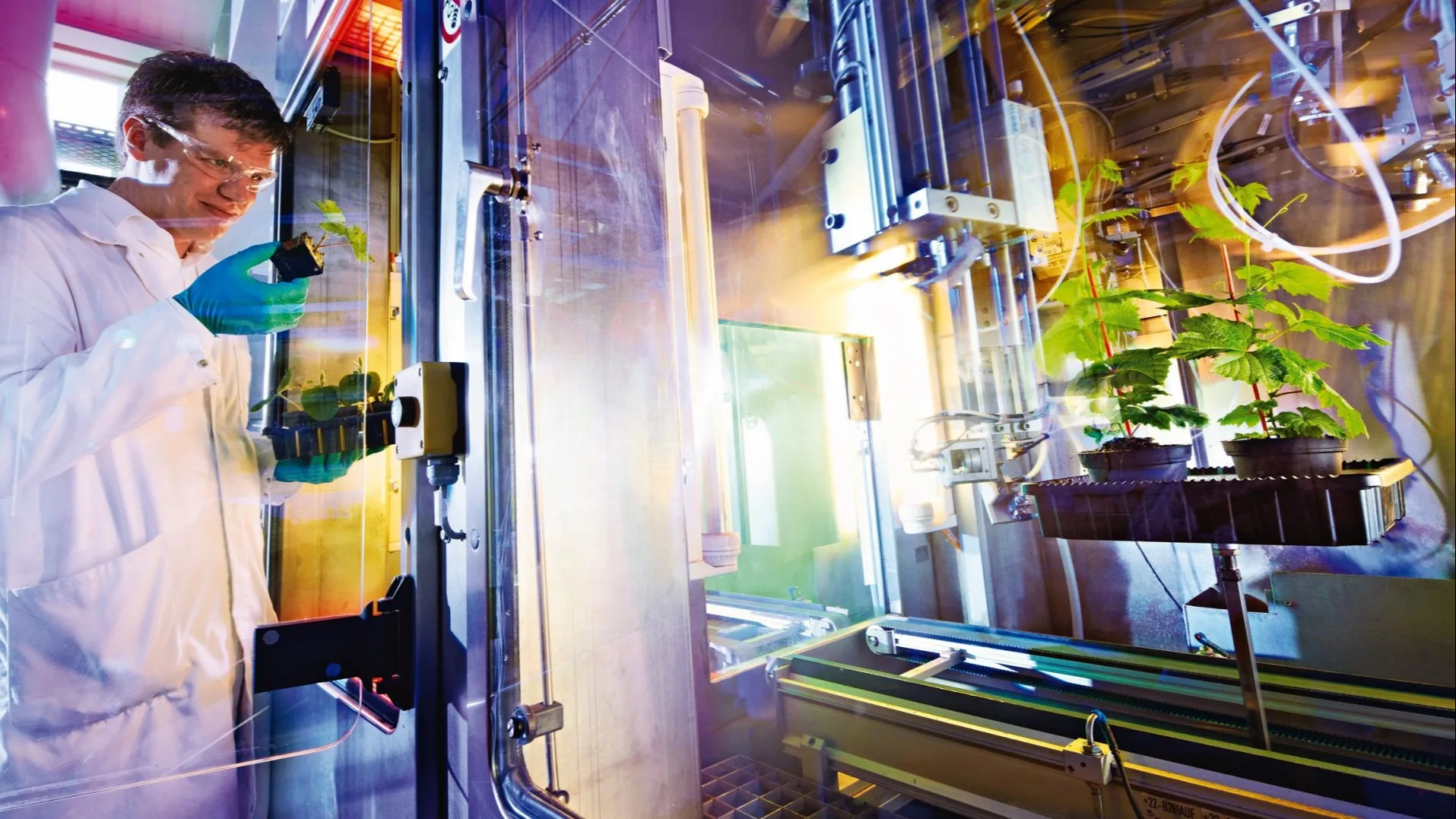 Vertical farms use hydroponics to grow crops inside buildings. (Photo courtesy of Unfold) TAKASHI NAKANO, Nikkei staff writer September 10, 2020 02:53 JST 5839 farming