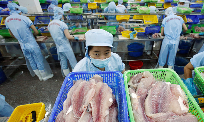 Workers make fillets of catfish at a factory in the southern city of Can Tho. Photo by Reuters/Kham. 0815 export fish