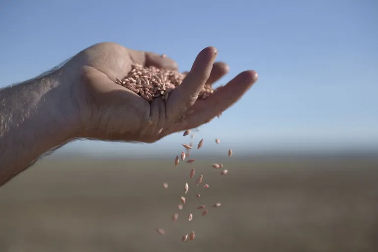 message behind australias appeal to wto over chinas barley tariffs