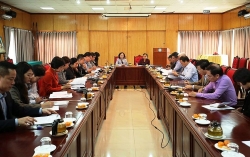 vinh phuc tap trung doi moi va trien khai hieu qua cac hoat dong doi ngoai nam 2020