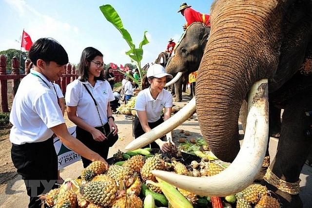 Người dân Thái Lan tự tay cho voi ăn trong Ngày voi quốc gia nguoi dan thai lan tu tay cho voi an trong ngay voi quoc gia