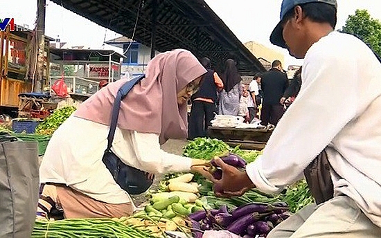 Cô gái đi tiên phong trong lối sống không rác thải tại Indonesia co gai di tien phong trong loi song khong rac thai tai indonesia