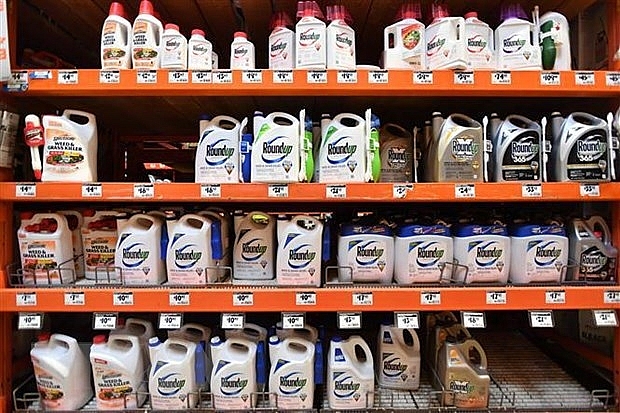 Monsanto lại thua kiện, phải bồi thường 81 triệu USD monsanto lai thua kien phai boi thuong 81 trieu usd