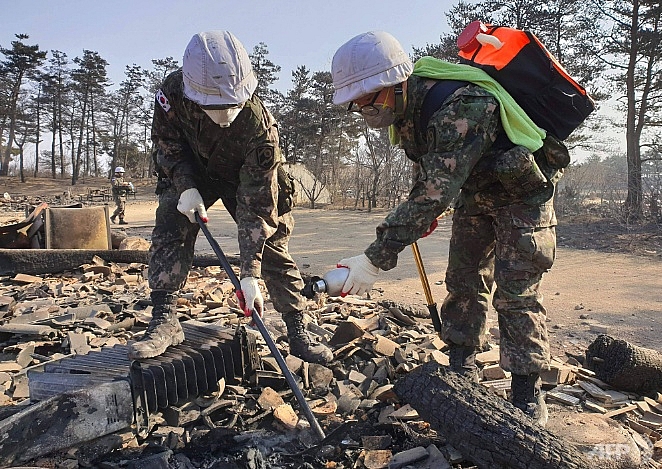 Hàng chục người bị thương trong thảm họa cháy rừng ở Hàn Quốc toan canh thiet hai kinh hoang tham hoa chay rung o han quoc