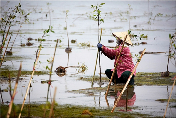 quy chanel ho tro gan 20 ty dong giup phu nu cai thien sinh ke chong bien doi khi hau