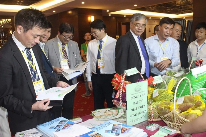 keo dau tu cua nhat ban vao khu vuc bac trung bo