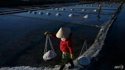 "Đời diêm dân" Khánh Hòa lên hãng tin quốc tế