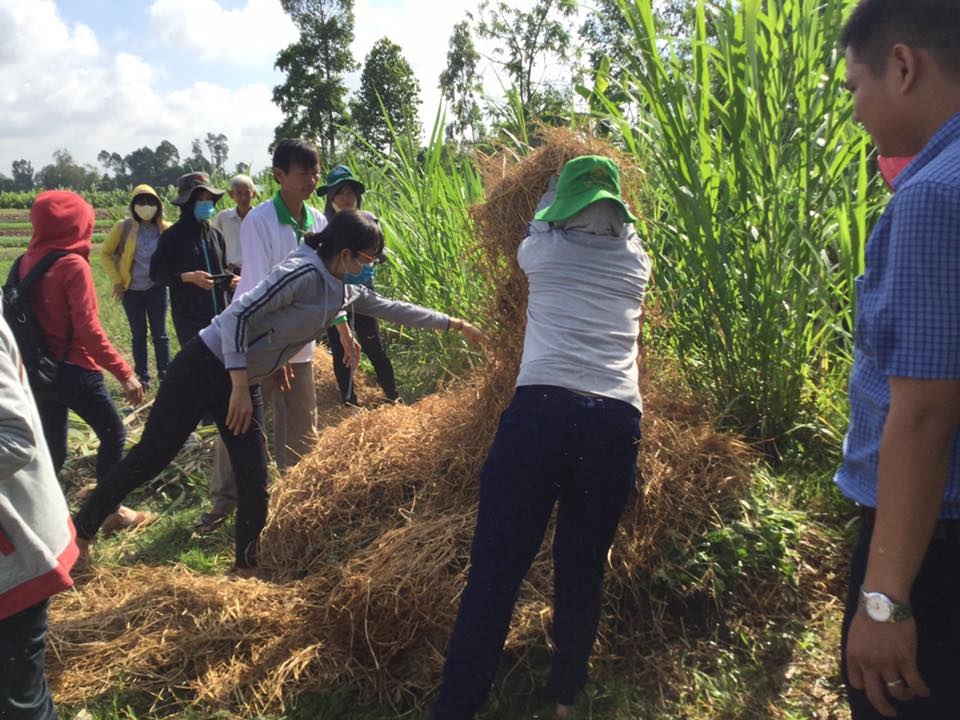 Seed to Table tập huấn phát triển nông nghiệp hữu cơ tại Đồng Tháp