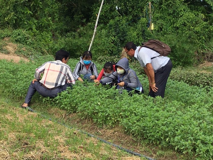 Seed to Table tập huấn phát triển nông nghiệp hữu cơ tại Đồng Tháp seed to table tap huan phat trien nong nghiep huu co tai dong thap