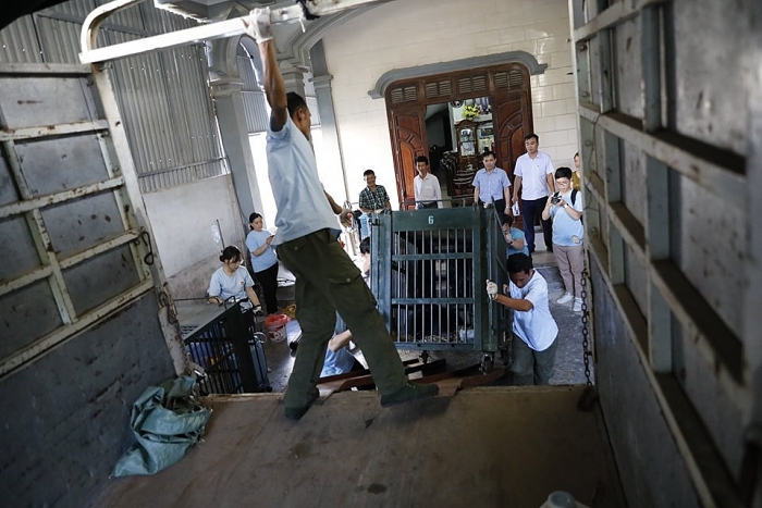 FOUR PAWS, ENV, kiểm lâm Nghệ An giải cứu ba cá thể gấu bị nuôi nhốt trái phép four paws env kiem lam nghe an giai cuu ba ca the gau bi nuoi nhot trai phep