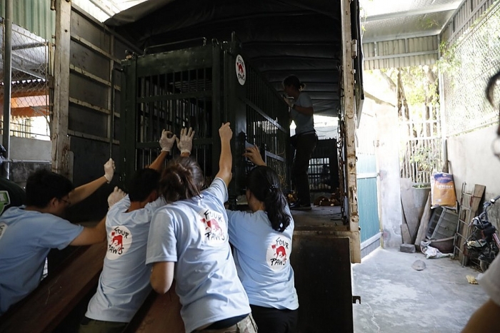 FOUR PAWS, ENV, kiểm lâm Nghệ An giải cứu ba cá thể gấu bị nuôi nhốt trái phép four paws env kiem lam nghe an giai cuu ba ca the gau bi nuoi nhot trai phep