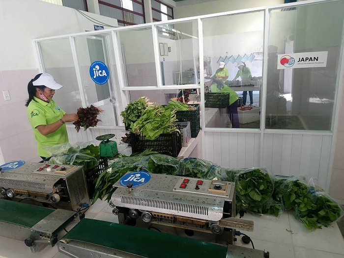 Liên hiệp Quảng Nam: Duy trì hiệu quả ngay sau khi dự án kết thúc lien hiep quang nam duy tri hieu qua ngay sau khi du an ket thuc
