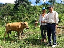 kfhi mang co hoi hoc tap den cho 600 hoc sinh ngheo dai loc quang nam