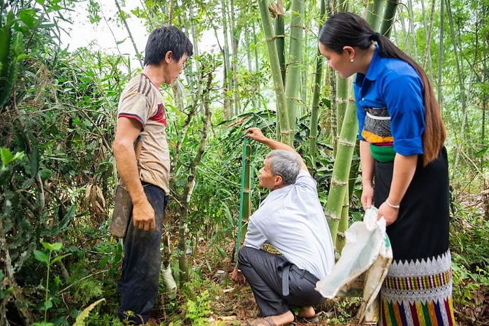 Oxfam phát triển bền vững và toàn diện chuỗi giá trị tre tại Thanh Hóa oxfam phat trien ben vung va toan dien chuoi gia tri tre tai thanh hoa