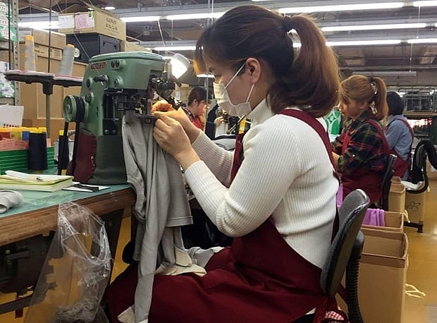 Doanh nghiệp Nhật Bản có nhu cầu tuyển dụng cựu thực tập sinh Việt Nam cao doanh nghiep nhat ban co nhu cau tuyen dung cuu thuc tap sinh viet nam cao
