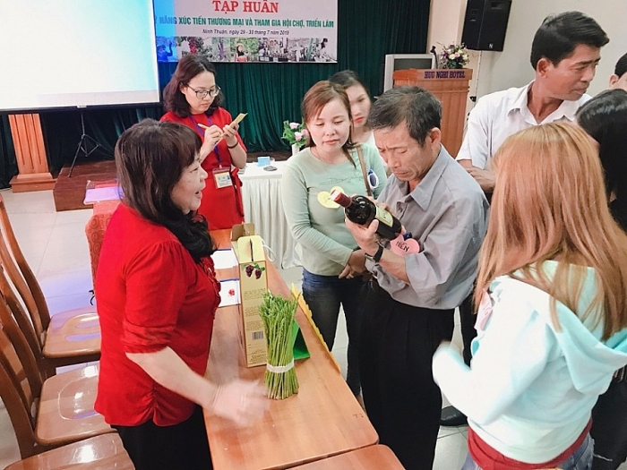 SNV tập huấn kỹ năng xúc tiến thương mại cho hợp tác xã tại Ninh Thuận và Bình Thuận snv tap huan ky nang xuc tien thuong mai cho hop tac xa tai ninh thuan va binh thuan