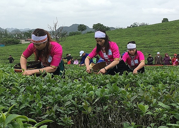 CARE hỗ trợ 11,6 tỷ đồng giúp phụ nữ dân tộc thiểu số Sơn La thoát nghèo phu nu dan toc thieu so son la duoc ho tro 116 ty dong trong che thoat ngheo
