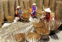 USAID hỗ trợ Quảng Nam 57 tỷ đồng phát triển sinh kế bền vững cho đồng bào dân tộc miền núi