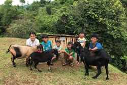acdc to chuc nhieu hoat dong giup nguoi khuyet tat vuot kho trong covid 19