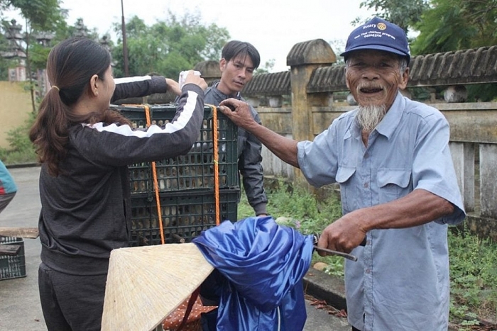 Cải thiện cuộc sống người dân nghèo Vinh Thái (Thừa Thiên Huế) bằng mô hình chăn nuôi gà cai thien cuoc song nguoi dan ngheo vinh thai thua thien hue bang mo hinh chan nuoi ga