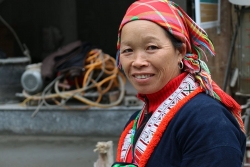 gni giup nguoi dan muong pa hoa binh phat trien mo hinh rau an toan