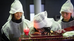 dao dien vo cai luong doi co luu qua doi