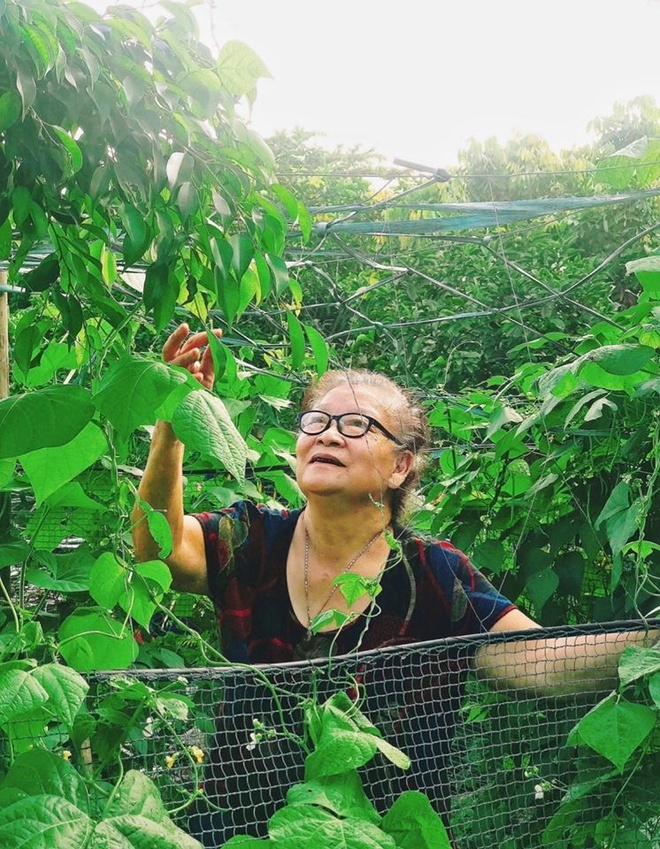 Cụ bà viết thư, tặng trứng gà tự tay nuôi cảm ơn các cán bộ đang hết mình chống dịch ba viet thu tang trung ga tu tay nuoi cam on cac can bo dang het minh chong dich