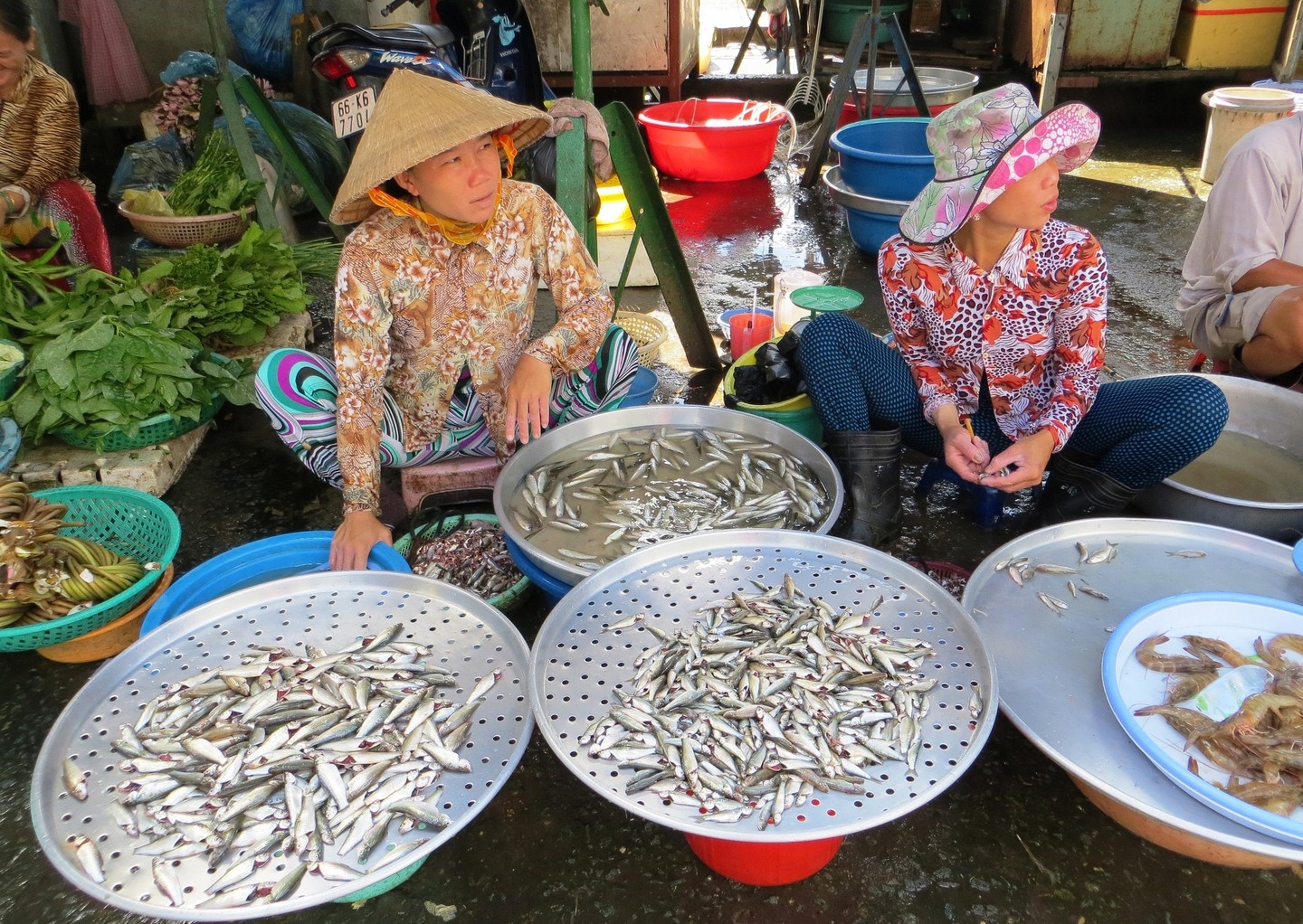 Khách Tây nêu 10 lý do Việt Nam là quốc gia đáng sống khach tay neu 10 ly do viet nam la quoc gia dang song