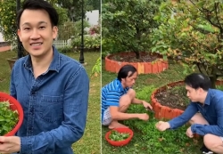 Hoài Linh làm vườn trong mùa dịch, Đàm Vĩnh Hưng và Noo Phước Thịnh hát 'Niềm tin chiến thắng' chống Covid-19