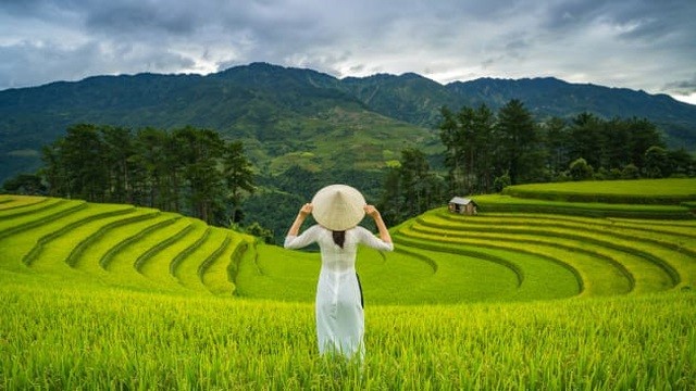 Mu Cang Chai highlights Vietnam beauty, says CNBC mu cang chai highlights vietnam beauty says cnbc
