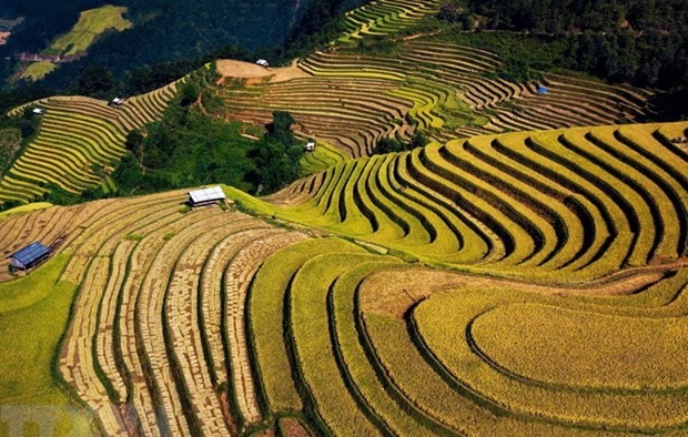 Mu Cang Chai highlights Vietnam beauty, says CNBC mu cang chai highlights vietnam beauty says cnbc