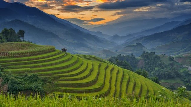 Mu Cang Chai highlights Vietnam beauty, says CNBC mu cang chai highlights vietnam beauty says cnbc