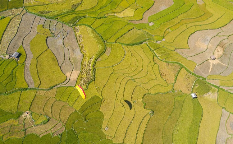 Mu Cang Chai highlights Vietnam beauty, says CNBC mu cang chai highlights vietnam beauty says cnbc