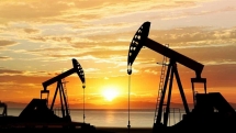 oil price fall impact on vietnam budget revenue is not too great