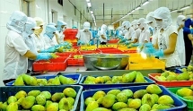 vietnam exerts itself to maximize exports during q2