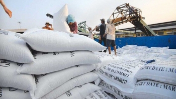 tax could be reduced for transport firms ministry